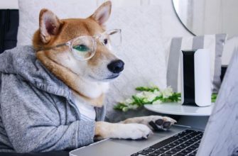 как на клавиатуре набрать собаку