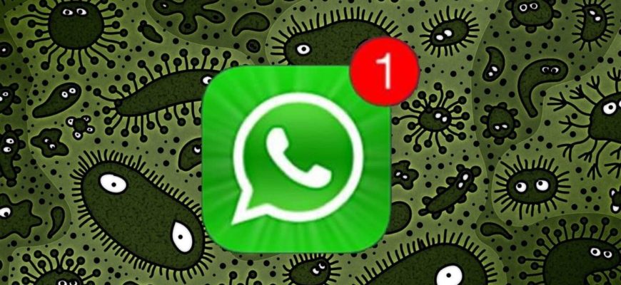 Как добавить пользователя в WhatsApp