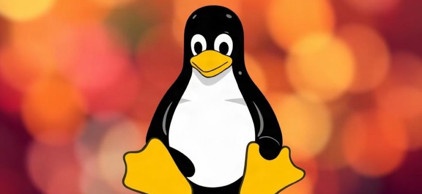Почему Linux набирает популярность и что выбрать новичку